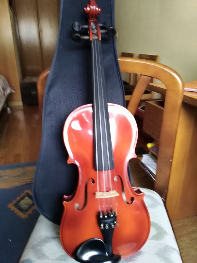 Violín