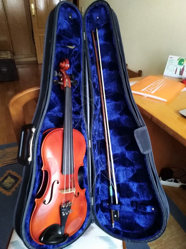 Violín