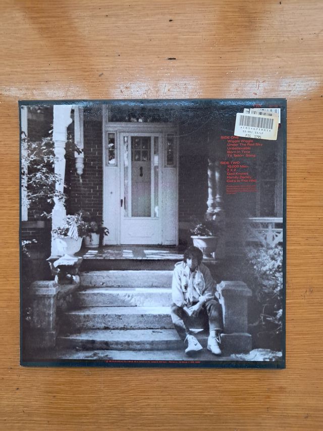 VINILO LP BOB DYLAN "Under the red Sky" y "Desire"