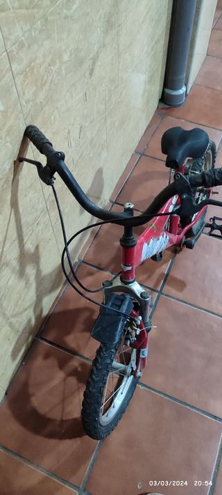 Bicleta infantil