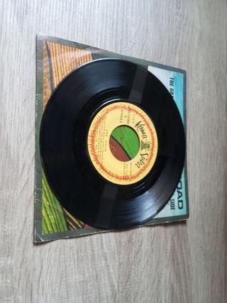 The Road the grass... Mr soul single