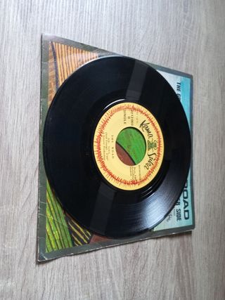 The Road the grass... Mr soul single