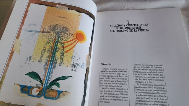 EXPO 92 - PLAN REFORESTACION 