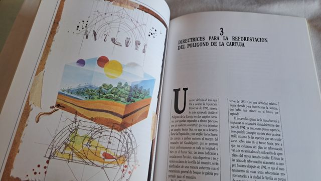 EXPO 92 - PLAN REFORESTACION 