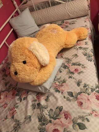 Perro de peluche Pek