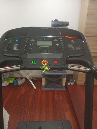 Cinta de correr 