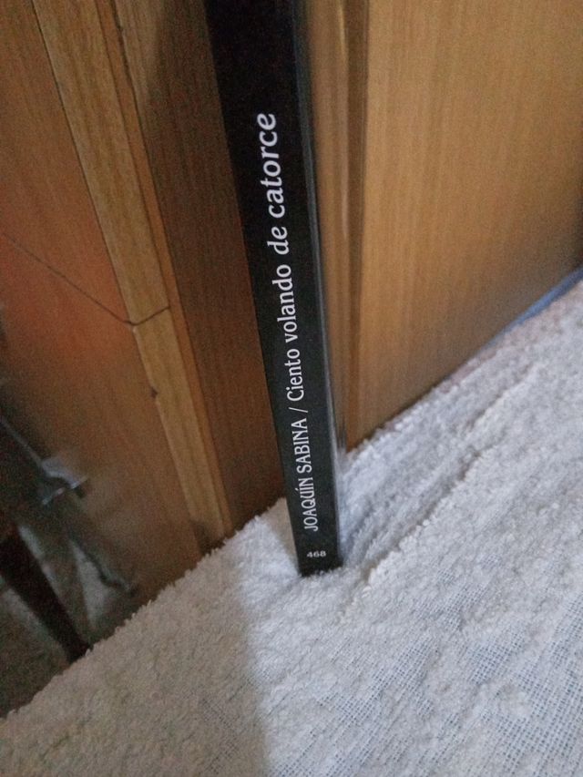 Libro Ciento volando de catorce.