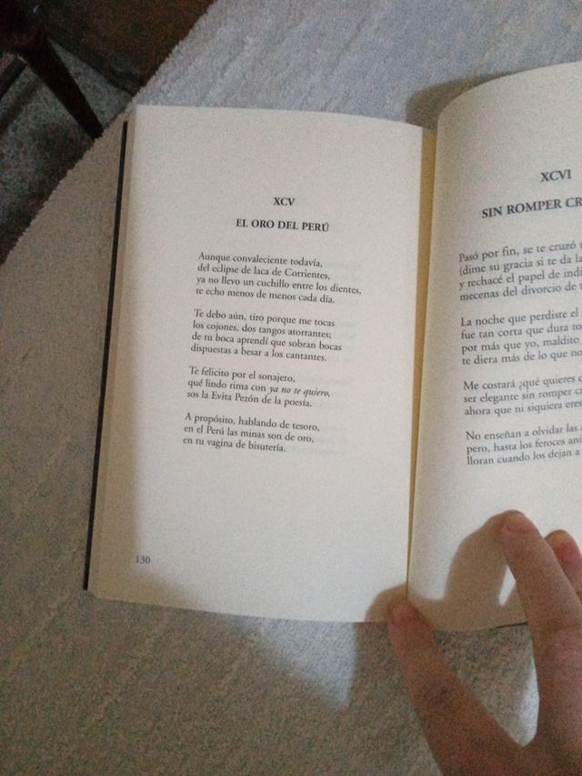 Libro Ciento volando de catorce.