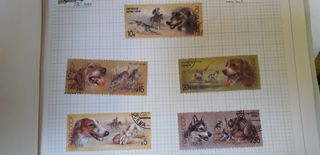 Francobolli Russia 1988 cani da caccia 5 pezzi