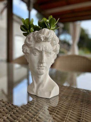 kit: busto de David +vela perfumada .