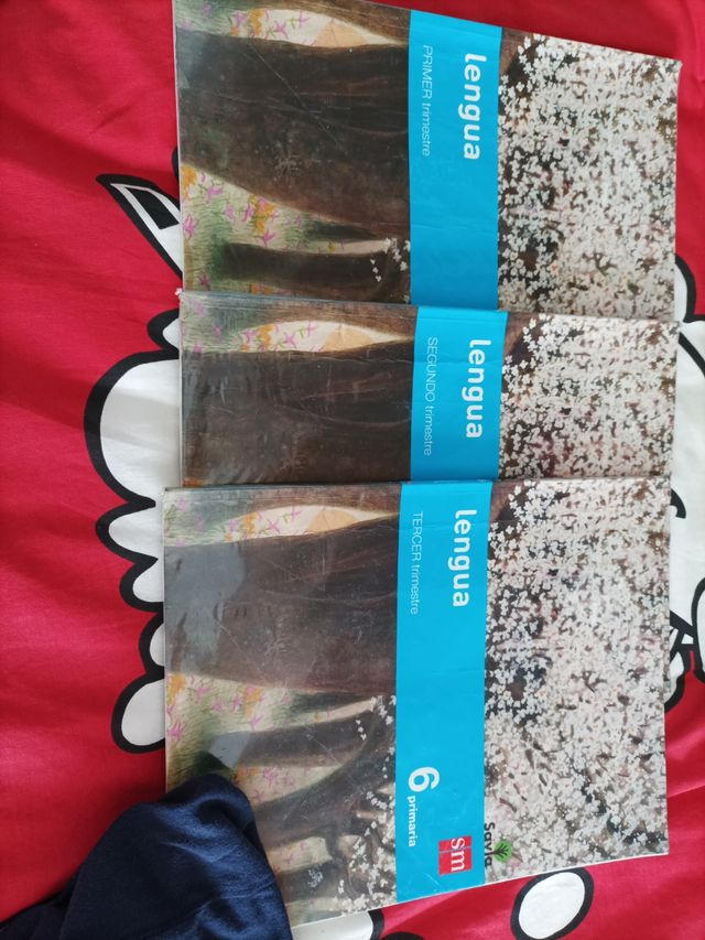 Libros lengua sexto primaria