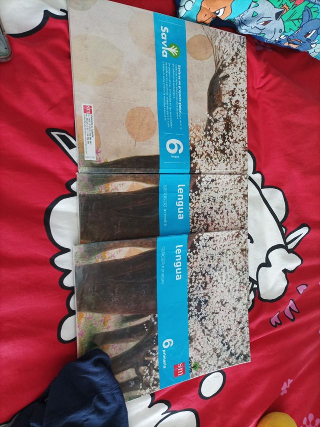 Libros lengua sexto primaria