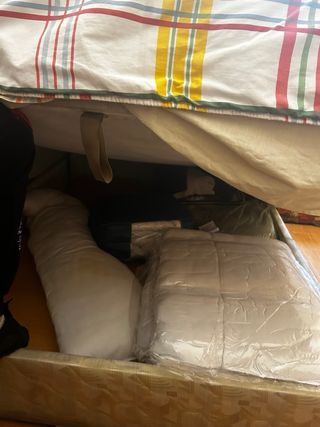 Cama Canape