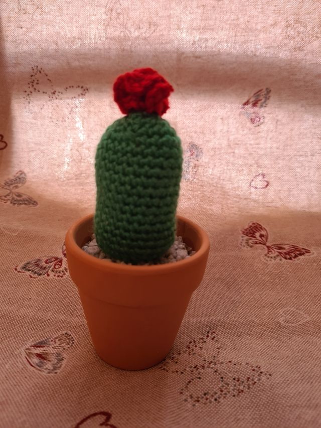 Cactus realizzato ad uncinetto