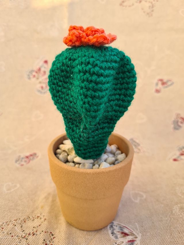 cactus realizzato ad uncinetto
