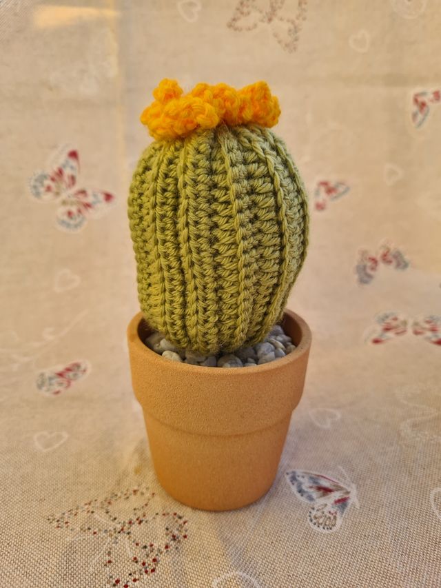 Cactus realizzato ad uncinetto