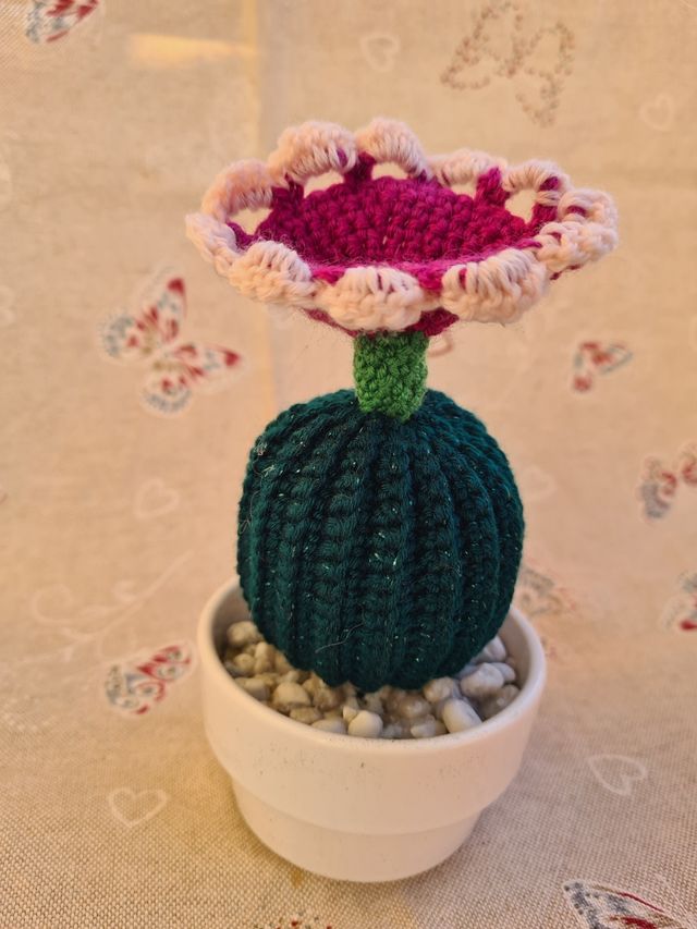 Cactus realizzato ad uncinetto