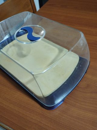 Contenitore per formaggi Guzzini