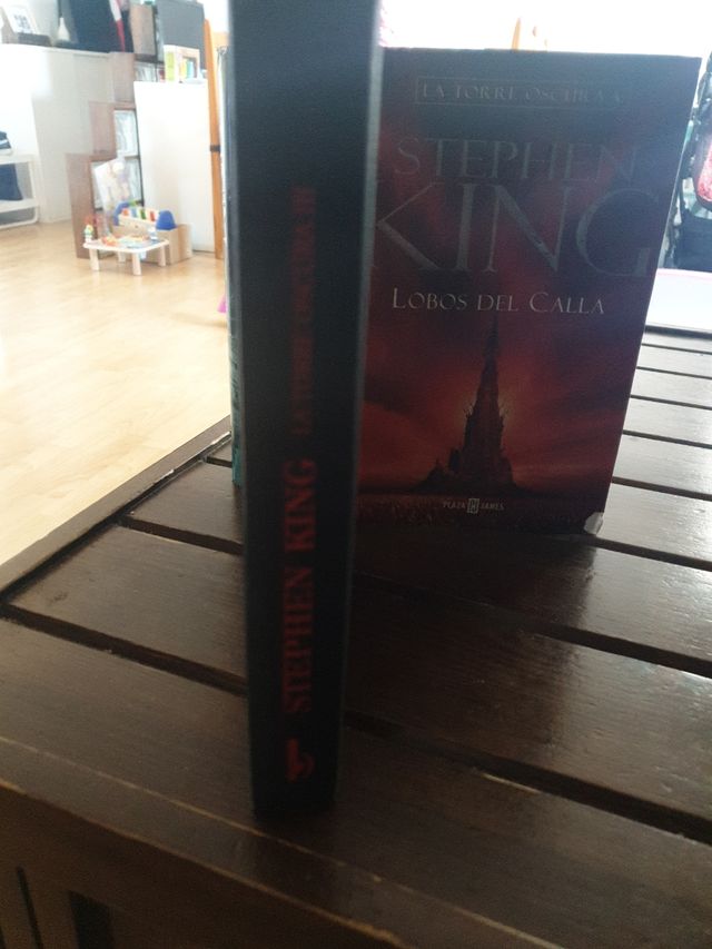 La torre oscura III