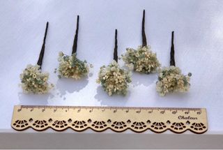 Horquillas de paniculata preservada
