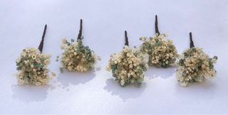 Horquillas de paniculata preservada