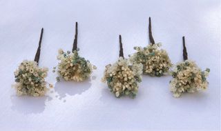 Horquillas de paniculata preservada