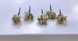 Horquillas de paniculata preservada