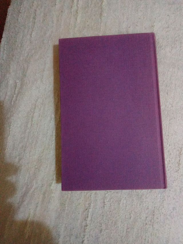 Libro Todo incluido. Ángel Palomino.