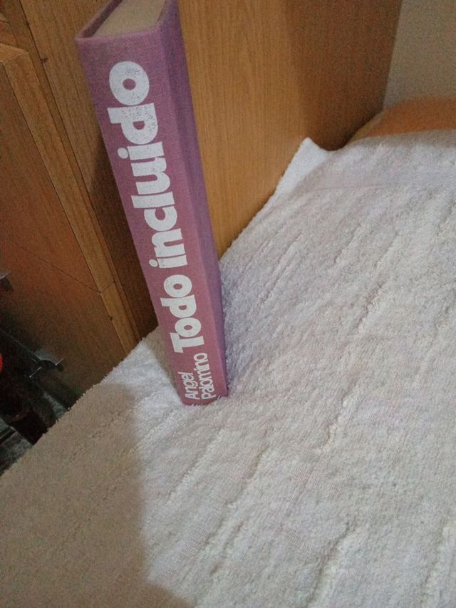 Libro Todo incluido. Ángel Palomino.