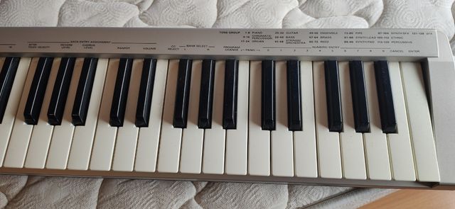 Teclado Midi Roland ED PC-180A