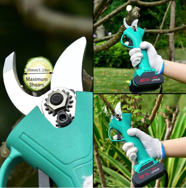 Tijeras de podar con 2 baterías