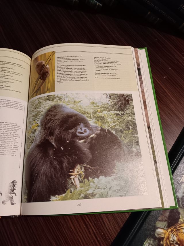 10 volumi Regno degli Animali