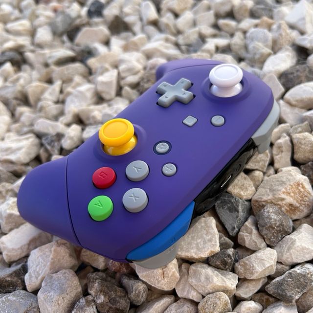 Switch pro controller