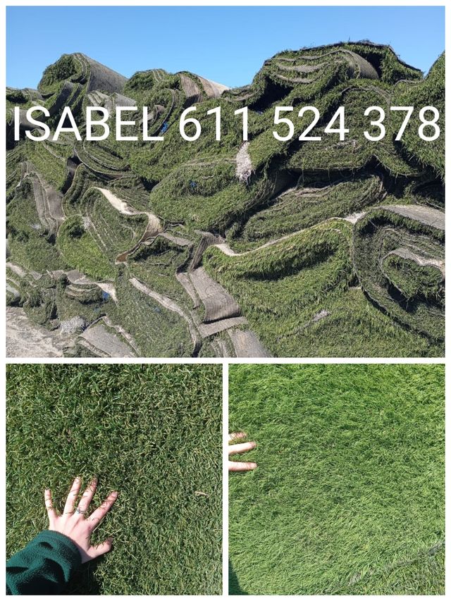 CÉSPED ARTIFICIAL FRONDOSO