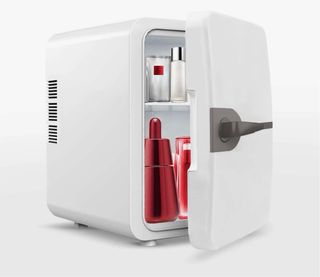 Mini nevera 