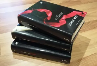 Lotto 3 Libri Twilight saga.