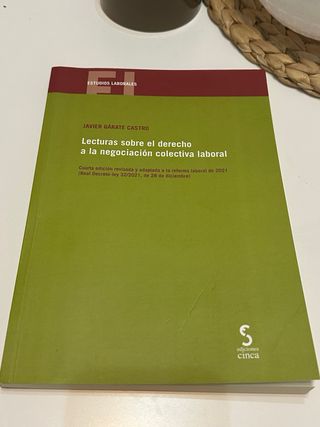 Libro sobre Derecho del Trabajo 