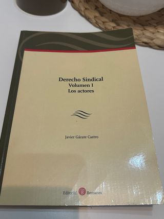 Libro sobre Derecho del Trabajo