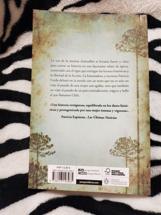 La Mestiza de Patricia Cerda.