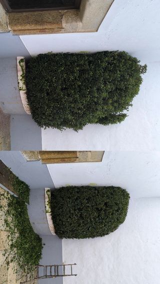 Jardinería profesional