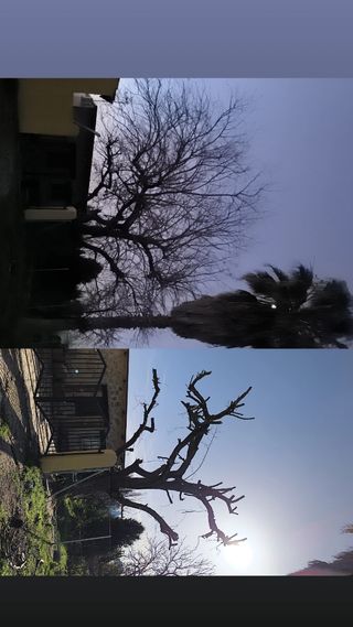 Jardinería profesional