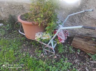 Arredamento giardino