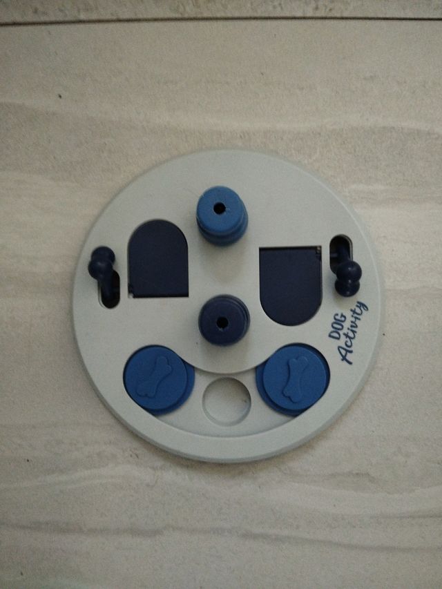 Juego actividades para perros