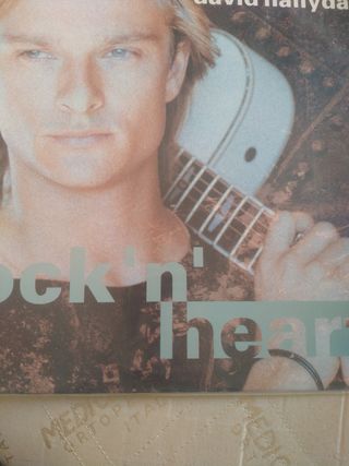 David hallyday ,rock n heart