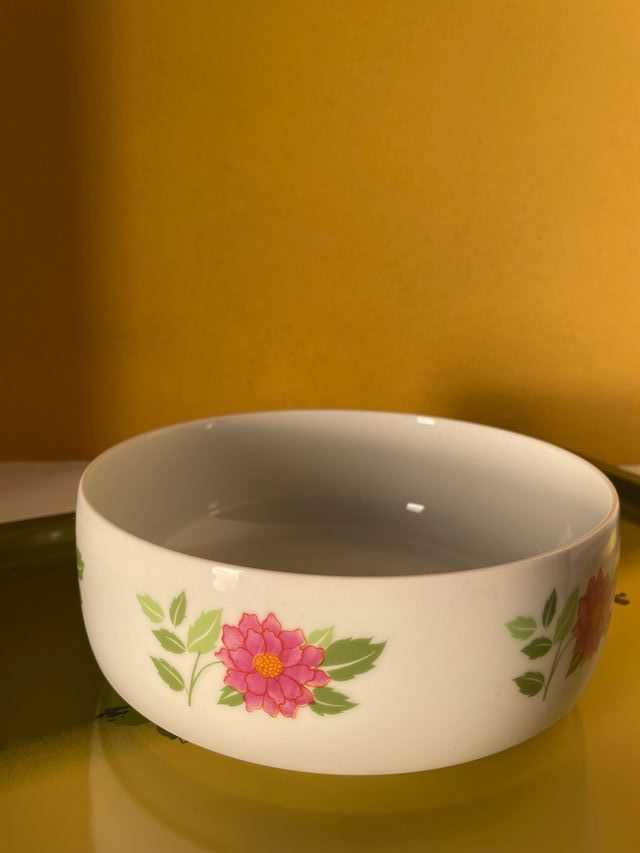 Ciotola in Porcellana Richard Ginori