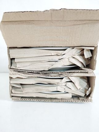 12 piatti piani in porcellana decorata 