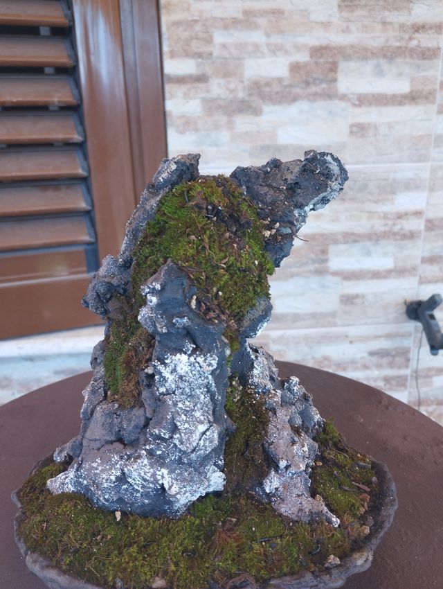 Struttura per ishizuki bonsai
