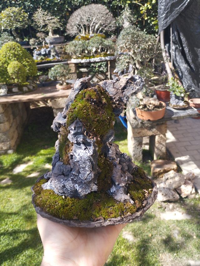 Struttura per ishizuki bonsai