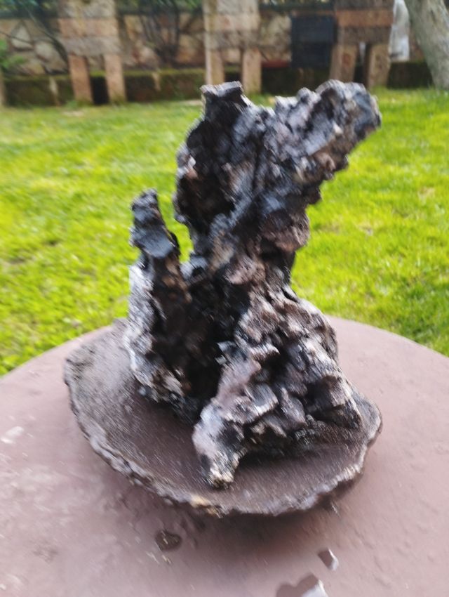 Struttura per ishizuki bonsai