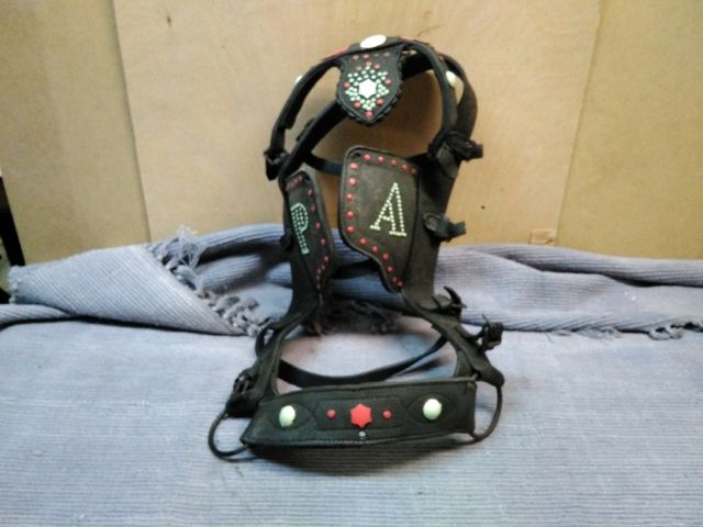 Cabezal de caballería 